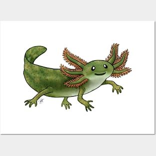 Amphibians - Axolotl - Wild Green Posters and Art